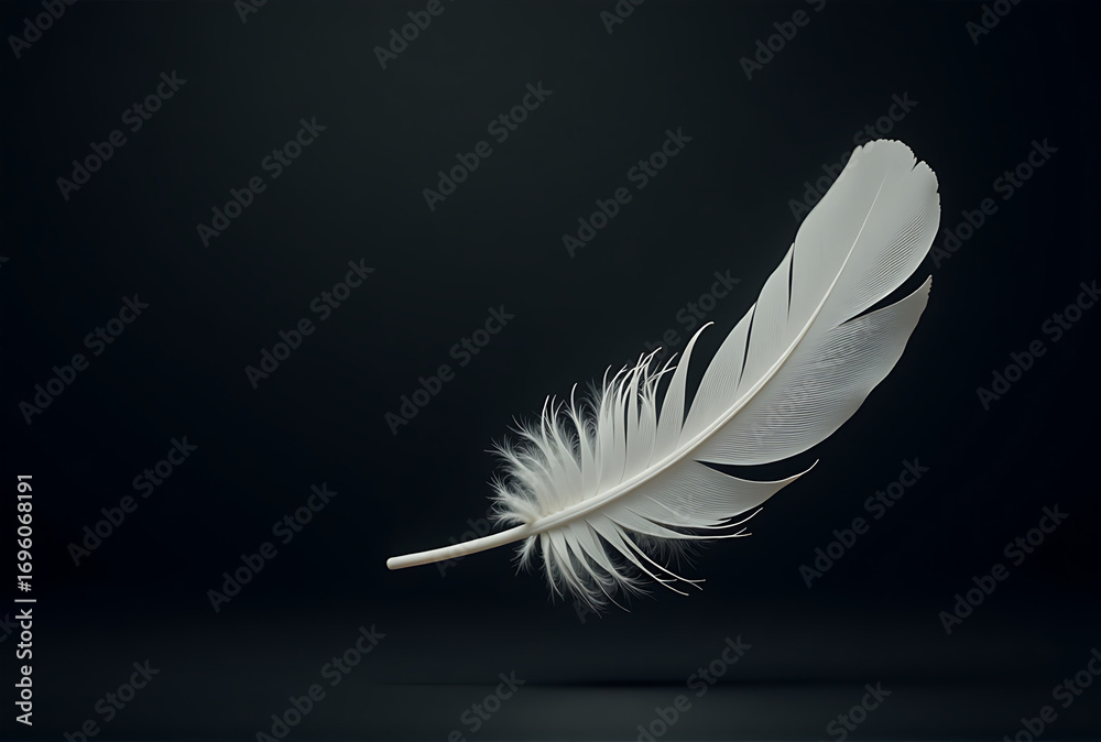 Obraz premium white feather on black