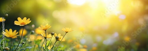 Yellow Flowers Bloom in a Bright Spring Garden Under Soft Sunlight