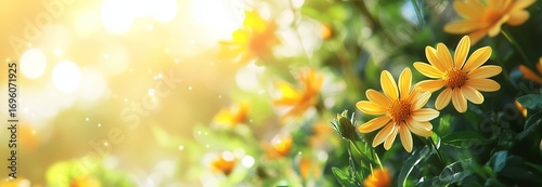 Bright Yellow Flowers Bloom in a Sunny Garden During Springtime Showcasing Na...