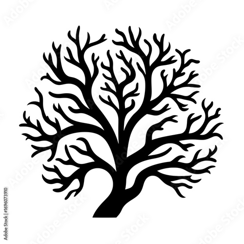 Branche de Corail simple lineart