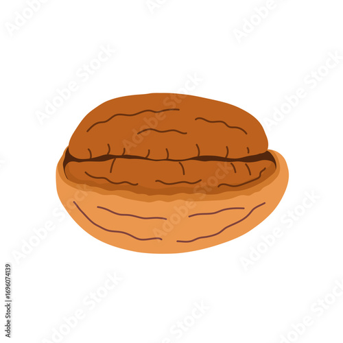 Half peeled pecan nut isolated on white background. Healthy food clipart in cartoon style. Vector illustration