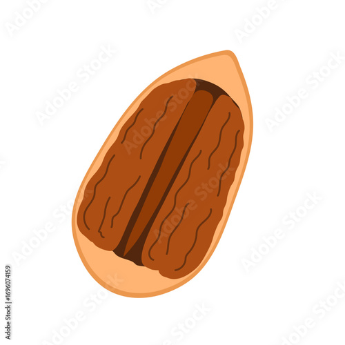 Half of pecan in nutshell isolated on white background. Doodle cracked nut in cartoon style. Healthy food clipart. Vector illustration