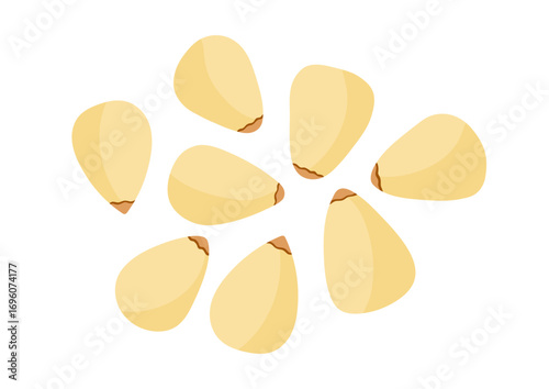 Peeled pine nuts isolated on white background. Tasty and healthy food clipart in cartoon style. Organic snack vector illustration
