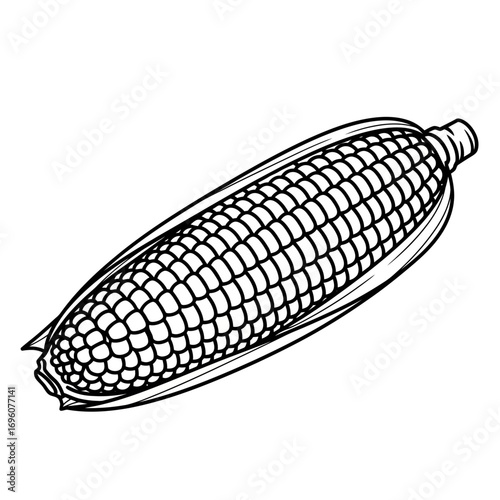 corn on the cob vector