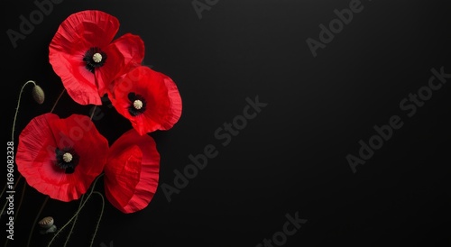 Vibrant Red Paper Poppies Arranged Artistically on a Dark Background.