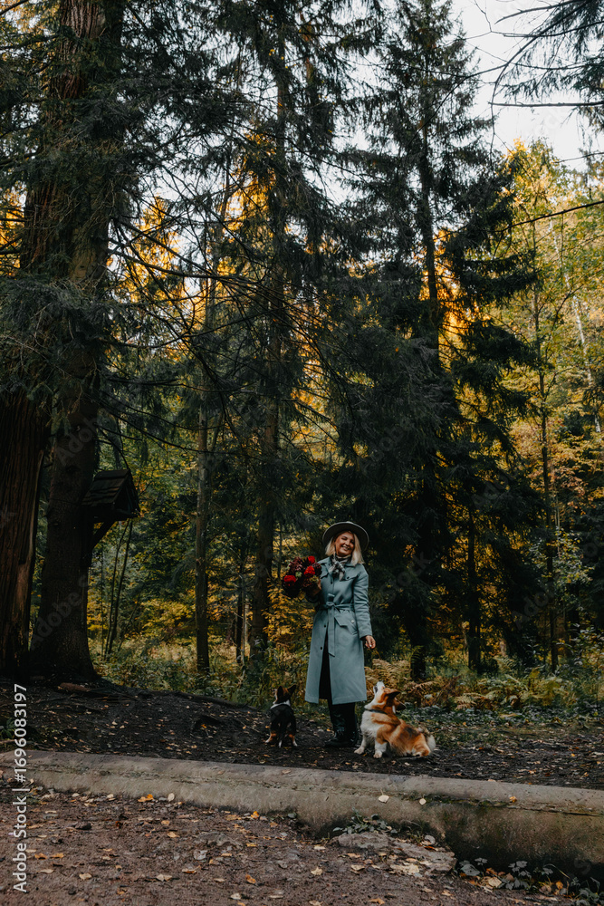 Fototapeta premium A woman is leisurely walking her dog through the peaceful woods