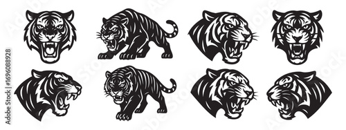  black-and-white illustrations of an aggressive tiger. Vector	