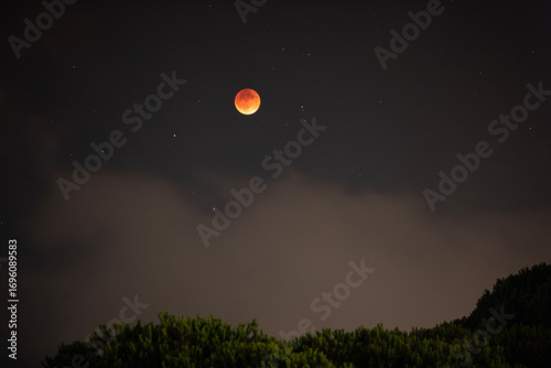 Red Moon During Lunar Eclipse Over Cloudy Pine Forest - Middle East Mountains of Lebanon
