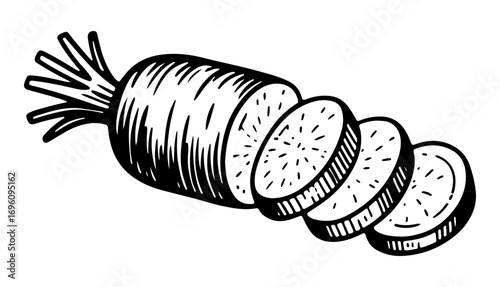 Carrot vector engraving style illustration