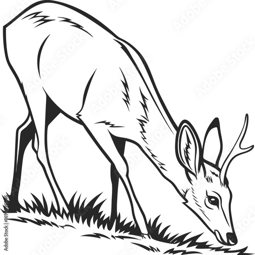 flat vector of deer sniffing ground silhouette minimal clean vector
