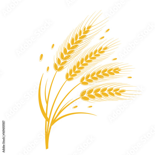 Wheat Stalks Vector Illustration - Golden Harvest Grain Design for Agriculture