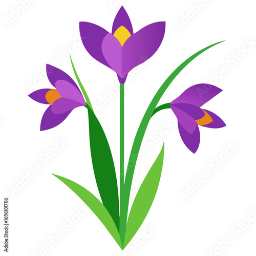 Purple Iris and lily flowers with green stems vector on white background.