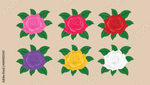 Set of colorful roses with green leaves vector illustration
