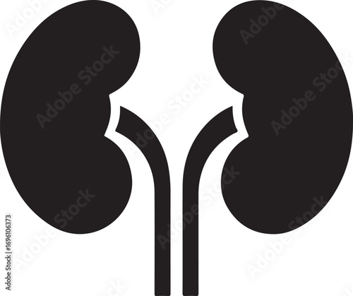 Silhouette of a kidney organ, simple editable vector illustration for medical use.
