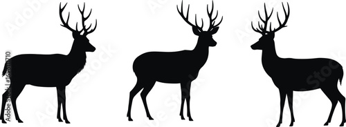 Silhouettes of mature male deer with antlers, wildlife illustration, elegant buck design, nature animal vector, forest creature artwork