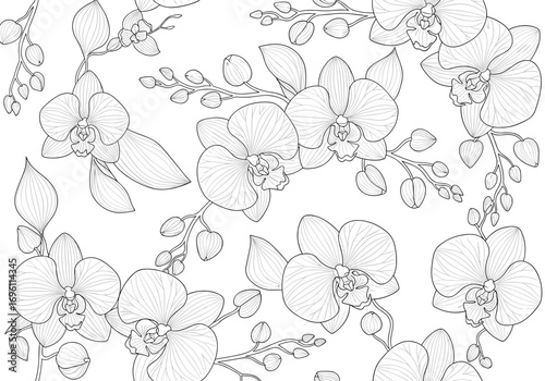 Elegant hand drawn orchid flowers botanical illustration repeating pattern for textile design and wallpaper