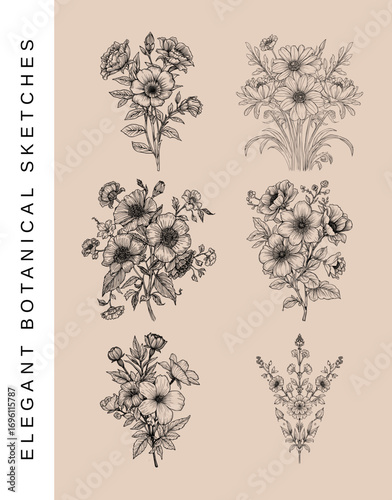 Botanical Vintage Flower Illustration