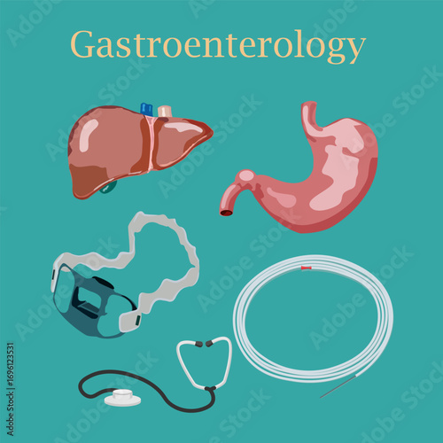 liver, stomach and objects of gastroenterological examination: mouthpiece for endoscopy, gastroenterological probe, phonendoscope, on aquamarine background