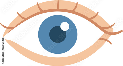 Simple Flat Human Eye Detail Illustration Graphic Element Design