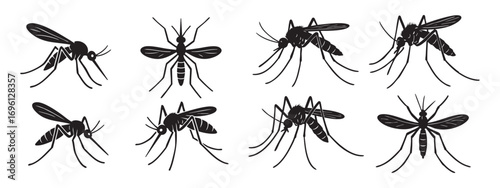 A set of black-and-white contour drawings of mosquitoes.