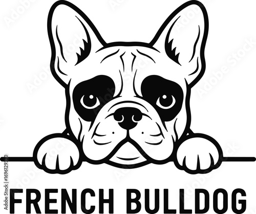 French Bulldog Illustration – Black and White Breed Art with Peeking Pose and Bold Typography