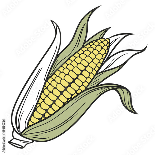 Vibrant illustration of a fresh ear of sweet corn with green husks, ready for harvest