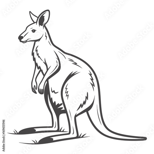 Detailed Line Art Illustration of a Standing Kangaroo, Capturing its Iconic Australian Wildlife Presence
