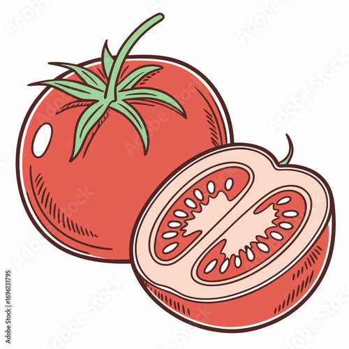 Fresh Tomatoes Whole and Half Cut Vector Illustration
