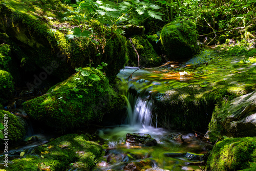 waterfall in the forest