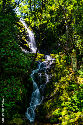 waterfall in the forest
