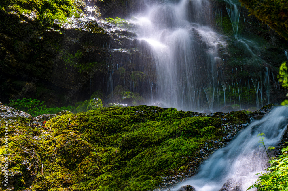 Obraz premium waterfall in the forest