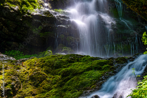 waterfall in the forest
