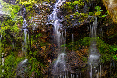 waterfall in the forest