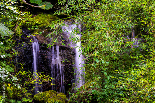 small waterfall in the forest
