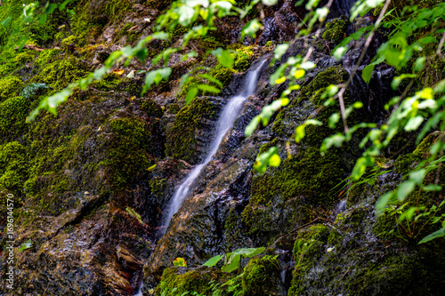 waterfall in the forest