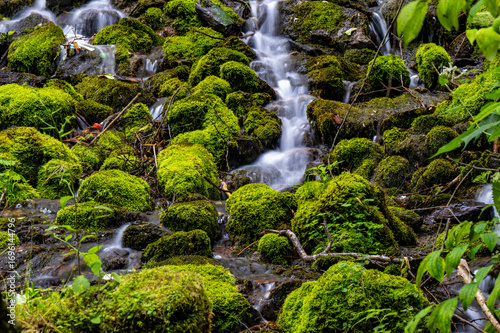 waterfall in the forest