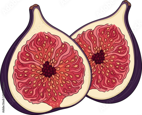 Two Halved Figs Illustration