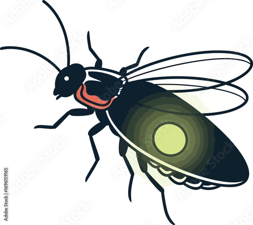 Vector Firefly Illustration