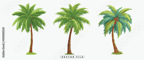 tropical palm trees standing tall with lush green leaves