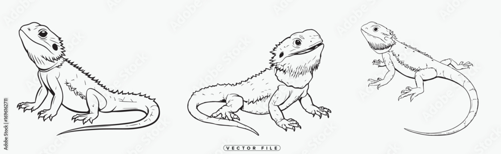 Fototapeta premium three lizards in various poses outlined in black