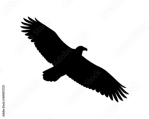 Black Silhouette of an Eagle in Flight with Wings Spread Wide