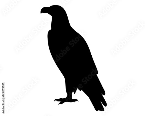 Majestic Eagle Silhouette Standing Tall on a White Background, Vector Illustration