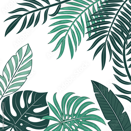 Vibrant tropical leaf border design for banners and advertisements with lush foliage elements
