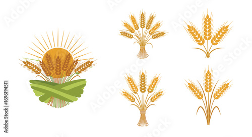 Collection of golden wheat stalks and agricultural field imagery celebrating harvest bounty