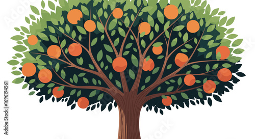 A lush green tree bearing abundant ripe oranges in a sunny orchard setting