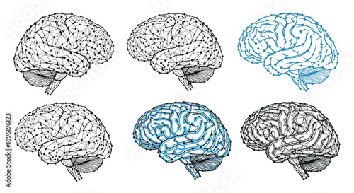 Abstract scientific representation of human brain network connections and neural pathways with medical science and health concepts