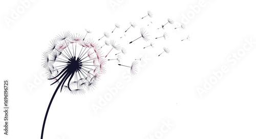 A gentle breeze carries dandelion seeds into the air for new growth