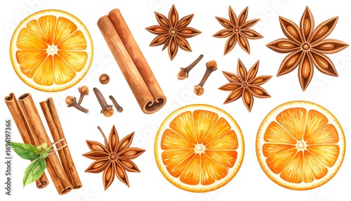 Watercolor illustration of sliced oranges, cinnamon sticks, star anise, and cloves, perfect for culinary or decorative designs. Each element is rendered with detail and vibrant color