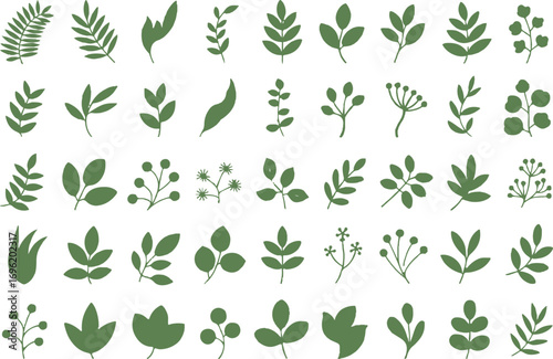 green botanical leaf vector collection 45 illustrations ai eps jpeg png nature plant design