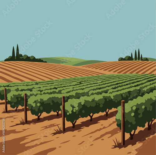 A picturesque vineyard landscape with rows of green grapevines stretching across rolling hills under a clear blue sky.